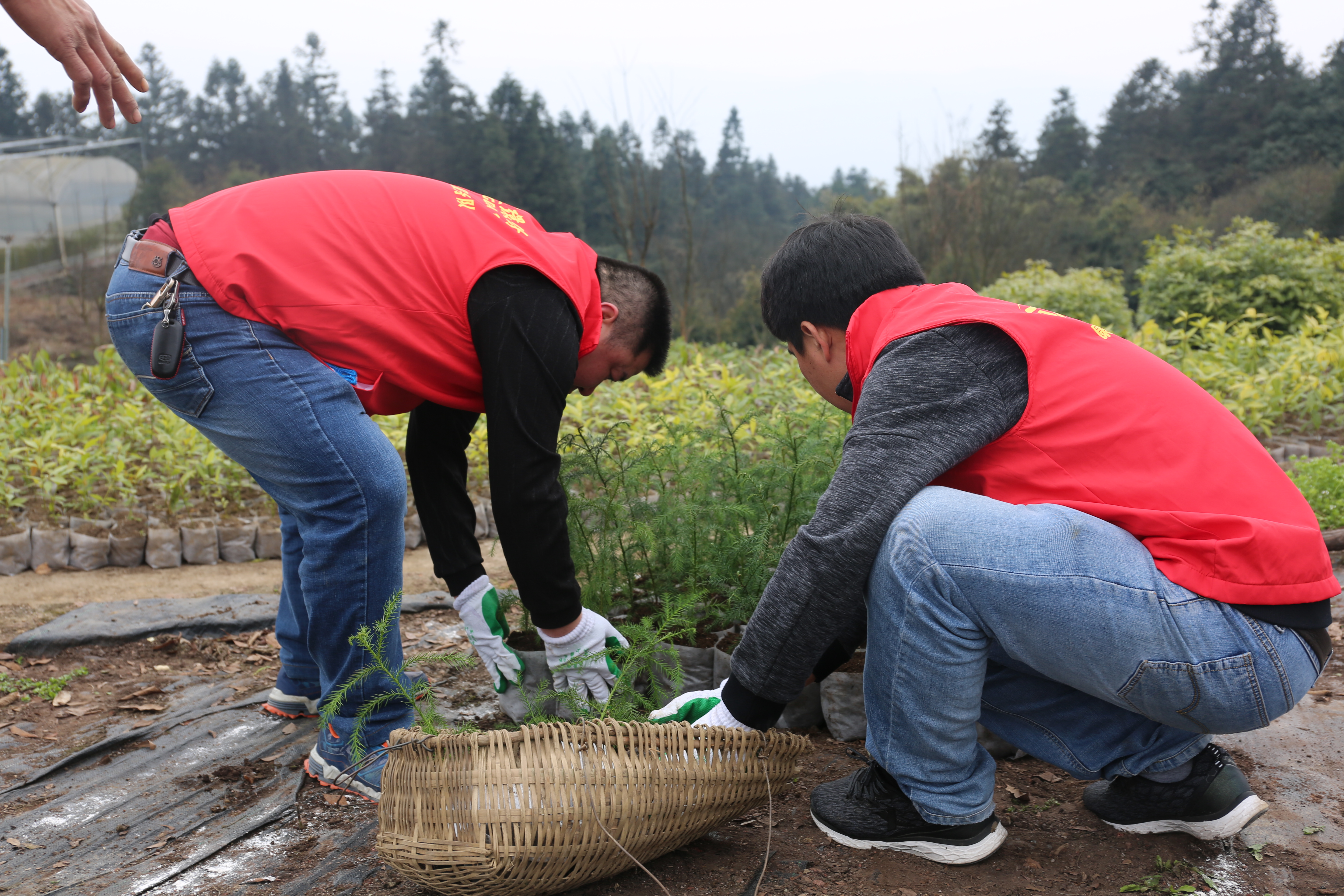 yw永旺快投网(中国区)官网登录入口