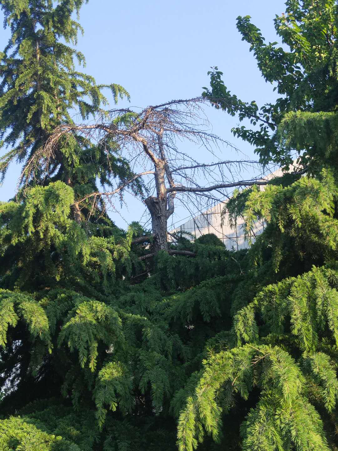 yw永旺快投网(中国区)官网登录入口