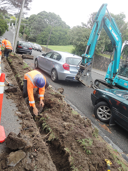 bti体育挖掘机畅销新西兰