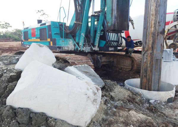 肯尼亚总统高度赞赏，乞力马扎罗山下bti体育绿闪灼