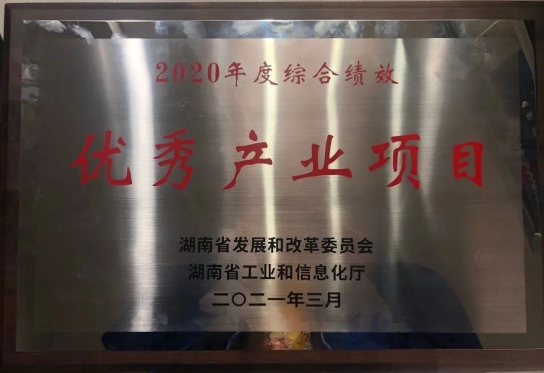 bti体育智能获评湖南“2020年度综合绩效优良产业项目”