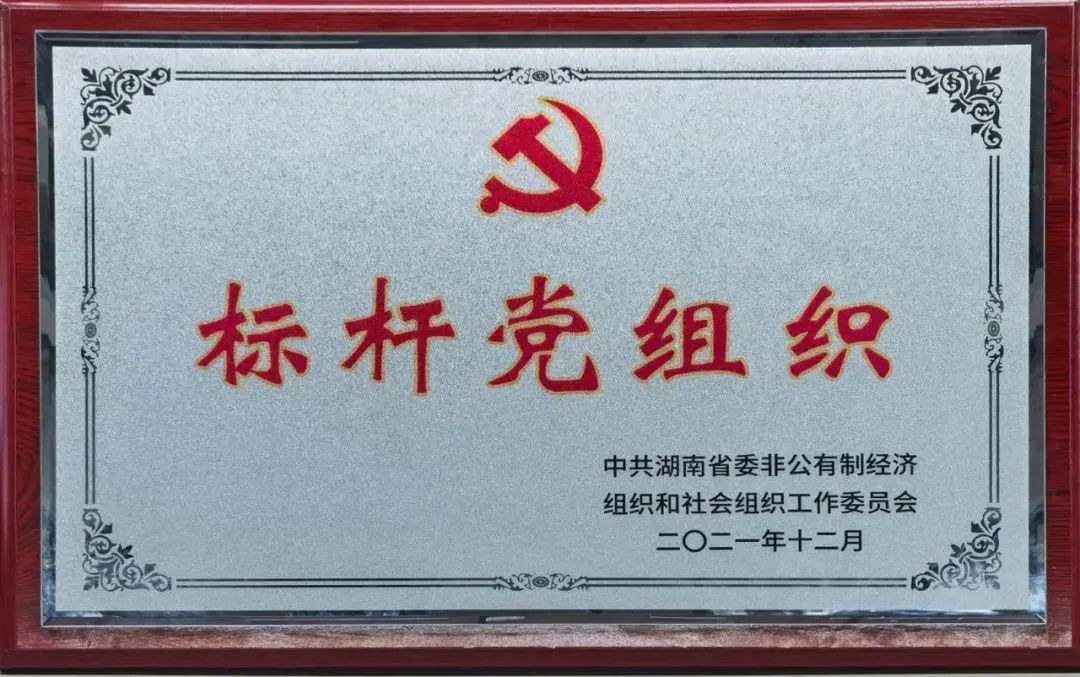 党建品牌亮起来！bti体育智能党委获评“标杆党组织”